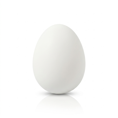 White Egg 1Pcs/Egg